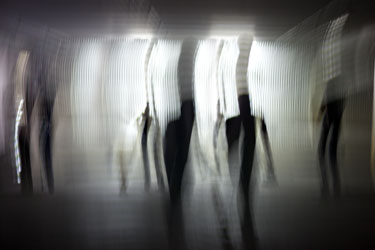 frieder salm